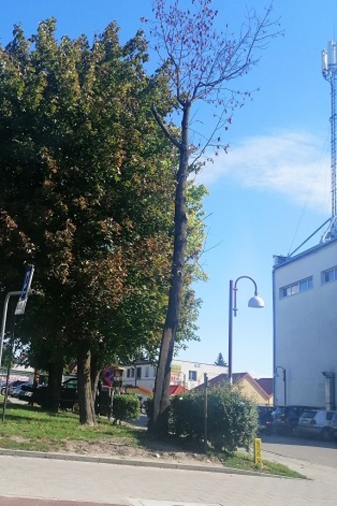 Ekologia, opieszałość i lekceważenie, a w tle ludzkie życie!