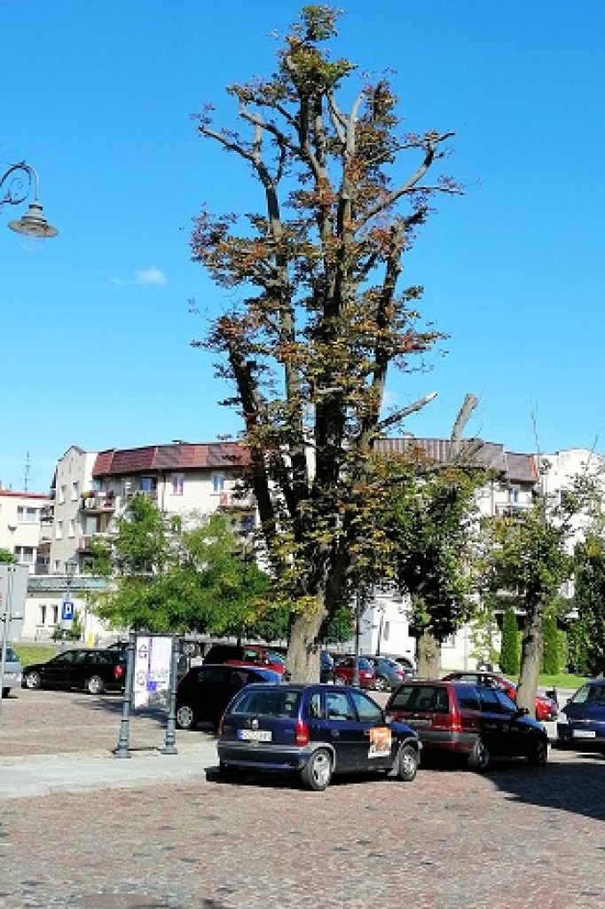Ekologia, opieszałość i lekceważenie, a w tle ludzkie życie!