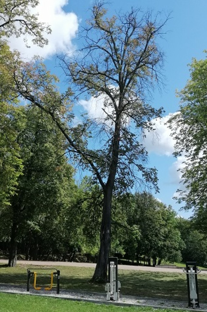 Ekologia, opieszałość i lekceważenie, a w tle ludzkie życie!