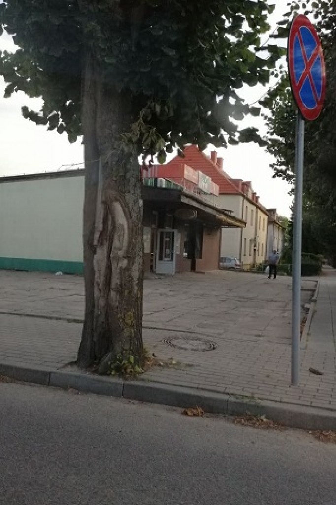 Ekologia, opieszałość i lekceważenie, a w tle ludzkie życie!