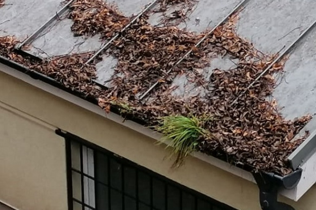 Co się dzieje z ?nową? halą targową?