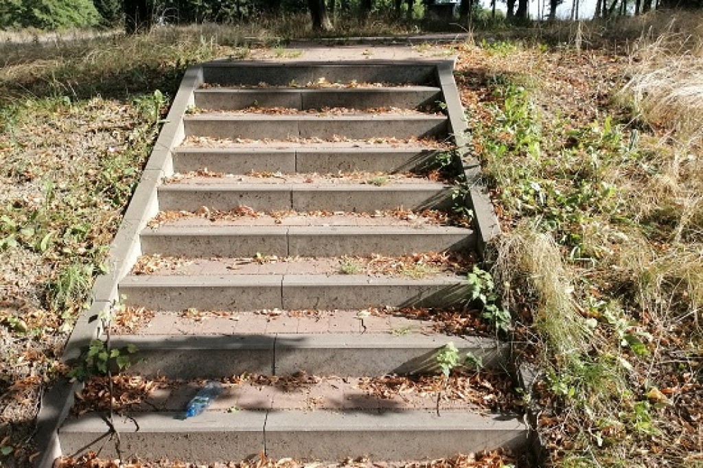 Park a może już śmietnisko?