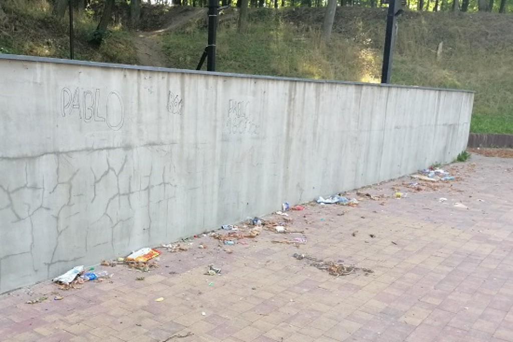 Park a może już śmietnisko?