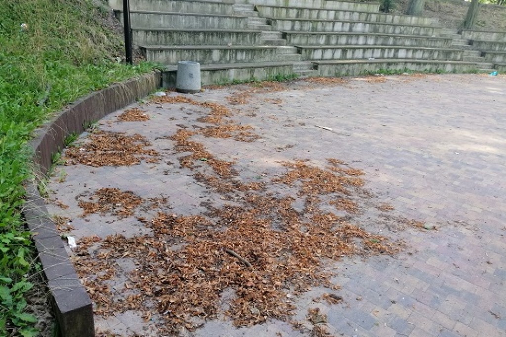 Park a może już śmietnisko?