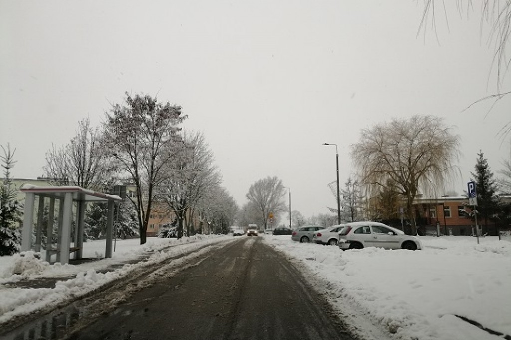 Zima nie zaskoczyła