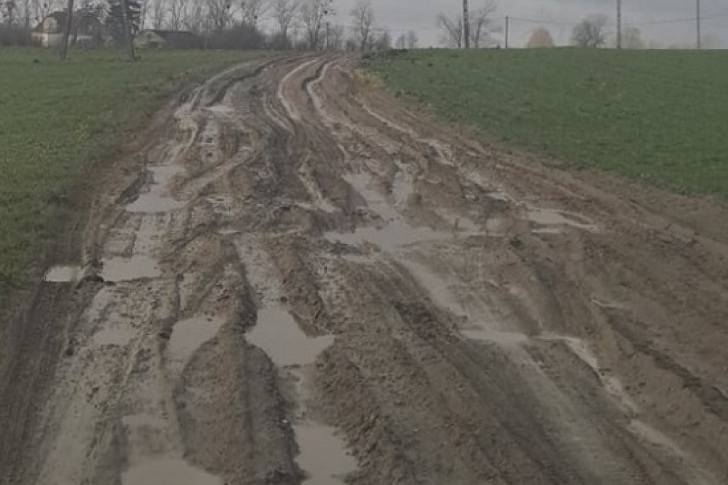 Ile warte jest słowo starosty?