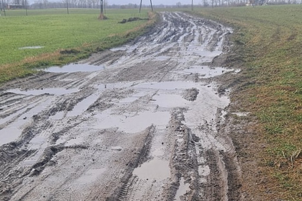Ile warte jest słowo starosty?