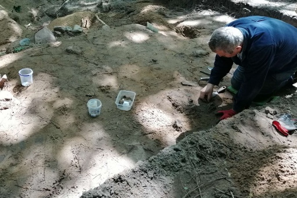 Niezwykłe znalezisko archeologiczne