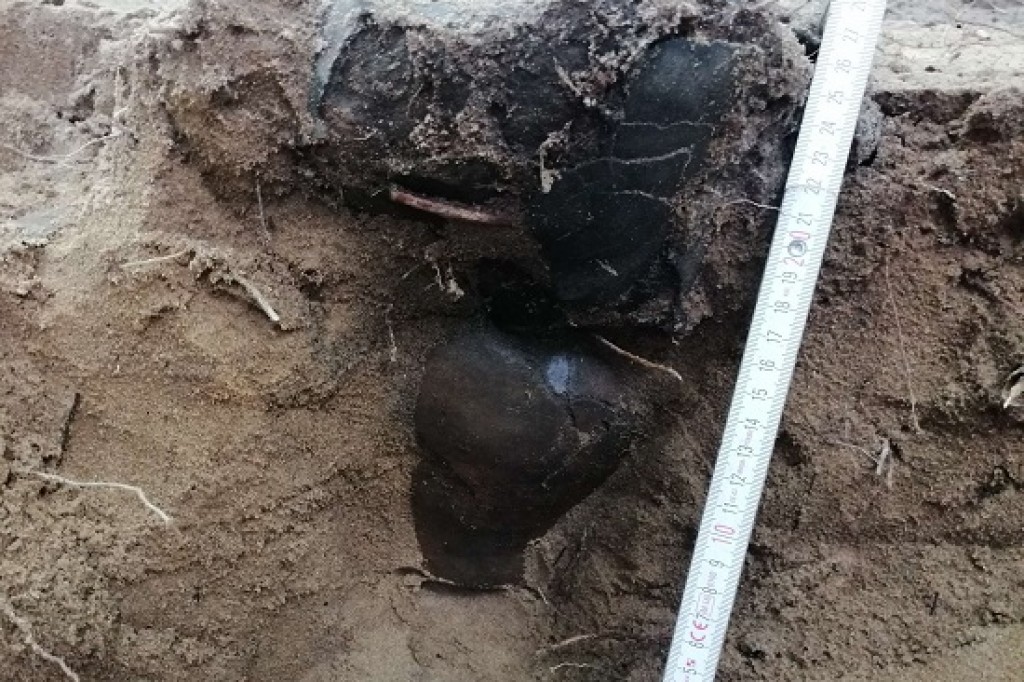 Niezwykłe znalezisko archeologiczne