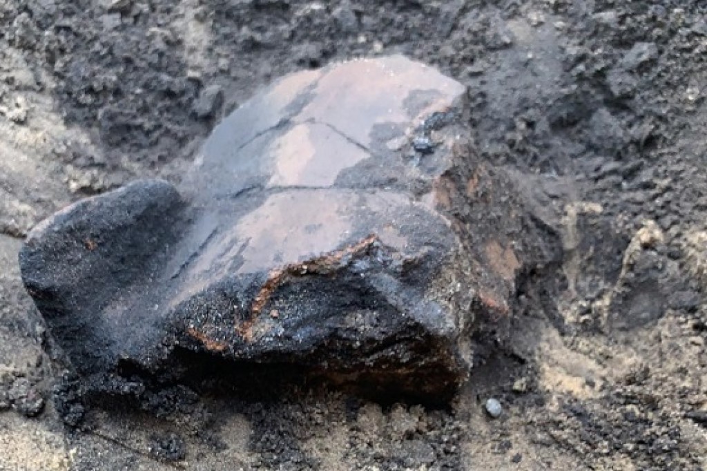 Archeolodzy powrócili do Nowego Targu