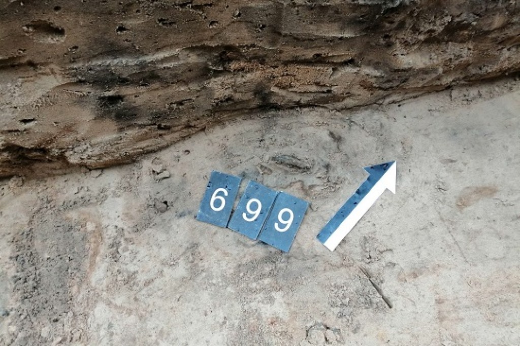 Archeolodzy powrócili do Nowego Targu