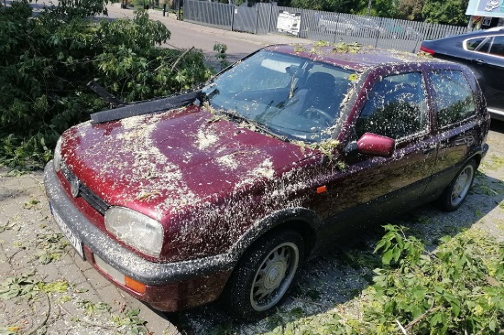 Trwa usuwanie skutków nawałnicy