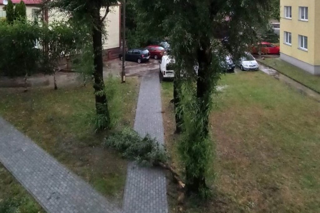 Trwa usuwanie skutków nawałnicy