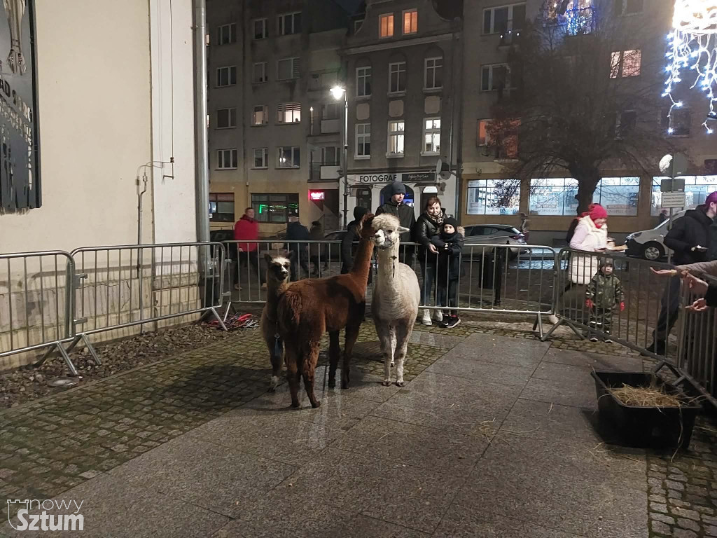 Sztum: Lampki na miejskiej choince już świecą. Świąteczna atmosfera w pełni