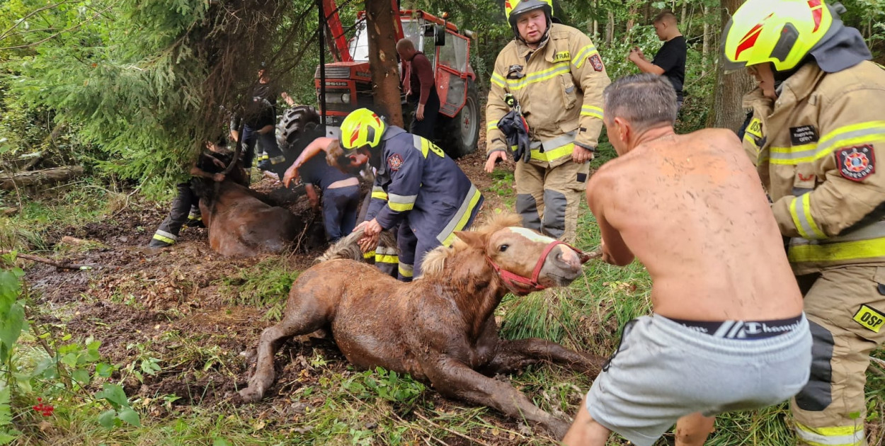 Zdjęcie ilustracyjne. Fot. Facebook Gmina Dywity, autor zdjęć Krzysztof Kulas
