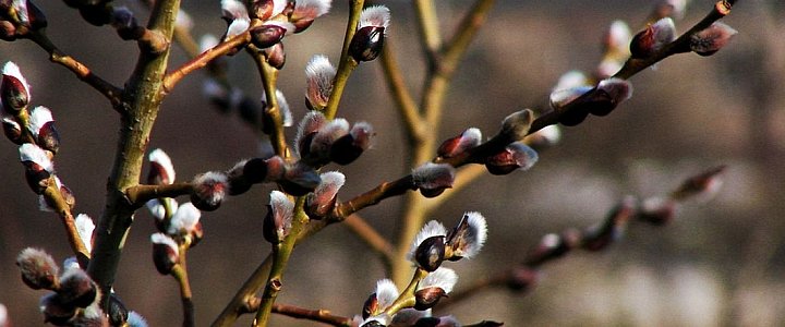 nowysztum.pl na Facebooku