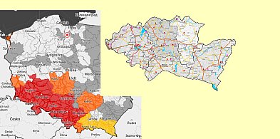 Sztum. W powiecie powalonych zostało zaledwie kilka drzew-8613