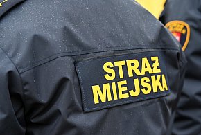 Zapuka strażnik, zapłacisz karę. Ruszyły kontrole w całej Polsce-12964