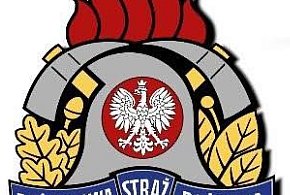 Sztum. Niemal bez strat po wichurze-13109