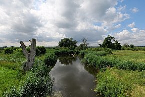 Co dalej z nowym parkiem narodowym? Minister klimatu zdradza plan po wecie-13207