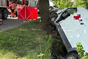 Kierujący busem zasłabł za kierownicą i uderzył w drzewo