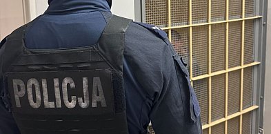 PODSUMOWANIE DZIAŁAŃ „POSZUKIWANY”