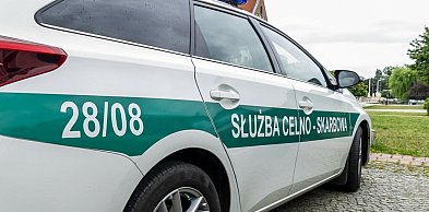 W 2025 roku Polacy wysłali do skarbówki ponad 84 tys. donosów