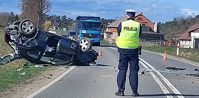Nie chciał uderzyć w zwierzę, zjechał do rowu i dachował