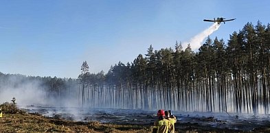 Sztum. Pożar lasu w Witkach płonęło 3,5 hektara