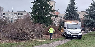 Sztum. Rusza kolejna inwestycja na Placu Wolności - Tym razem z myślą o klimacie-13509