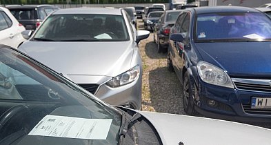 Przychody z przepadku i ze sprzedaży aut w trzy kwartały br. przekroczyły 57 mln-13569