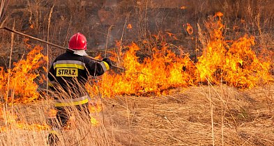 WYPALANIE TRAW JEST NIELEGALNE. NIGDY TEGO NIE RÓB!