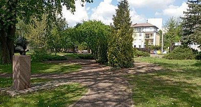 Sztum. Dobiega końca rewitalizacja skweru „Pod Dębami”