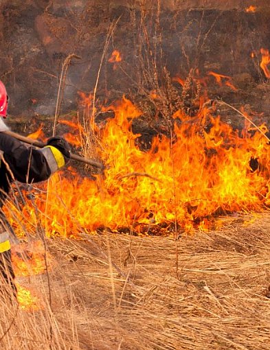 WYPALANIE TRAW JEST NIELEGALNE. NIGDY TEGO NIE RÓB!