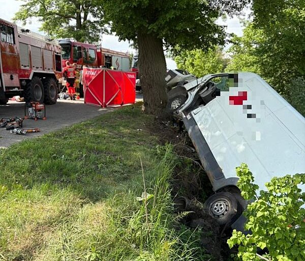 Kierujący busem zasłabł za kierownicą i uderzył w drzewo