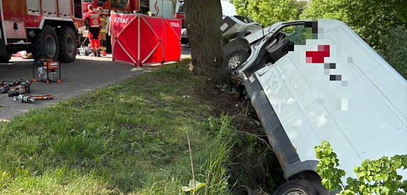Kierujący busem zasłabł za kierownicą i uderzył w drzewo